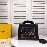 Fendi-Kan-I-F-Leather-Bag-Black.jpg