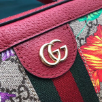 Gucci-Ophidia-GG-Flora-Small-Shoulder-Bag-Red.png