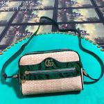 Gucci-Ophidia-Mini-Bag-Green.png