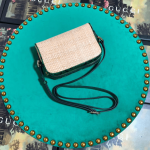 Gucci-Ophidia-Mini-Bag-Green.png