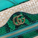 Gucci-Ophidia-Mini-Bag-Green.png