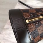 LV-Damier-Ebene-Canvas-Alma-BB.jpg