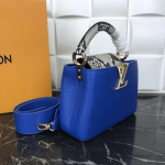 Louis-Vuitton-CAPUCINES-MINI-blue.png