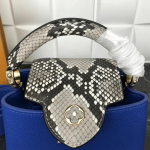 Louis-Vuitton-CAPUCINES-MINI-blue.png