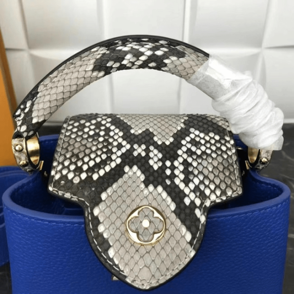 Louis-Vuitton-CAPUCINES-MINI-blue-2.png