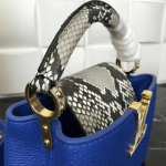 Louis-Vuitton-CAPUCINES-MINI-blue.png