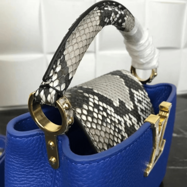 Louis-Vuitton-CAPUCINES-MINI-blue-3.png