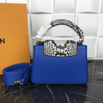 Louis-Vuitton-CAPUCINES-MINI-blue.png