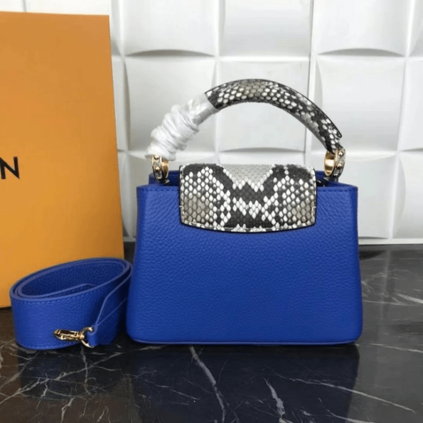 Louis-Vuitton-CAPUCINES-MINI-blue-4.png