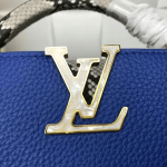 Louis-Vuitton-CAPUCINES-MINI-blue.png