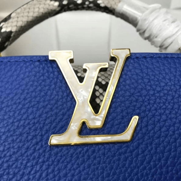 Louis-Vuitton-CAPUCINES-MINI-blue-6.png