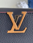 Louis-Vuitton-CAPUCINES-Original-Leather-PM-black.png