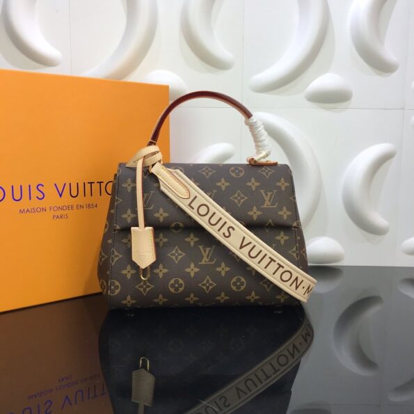 Louis-Vuitton-Designer-Handbag-for-Women-Cluny-BB-1-1.jpg