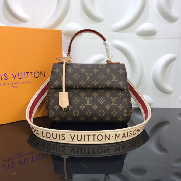 Louis-Vuitton-Designer-Handbag-for-Women-Cluny-BB-7.jpg