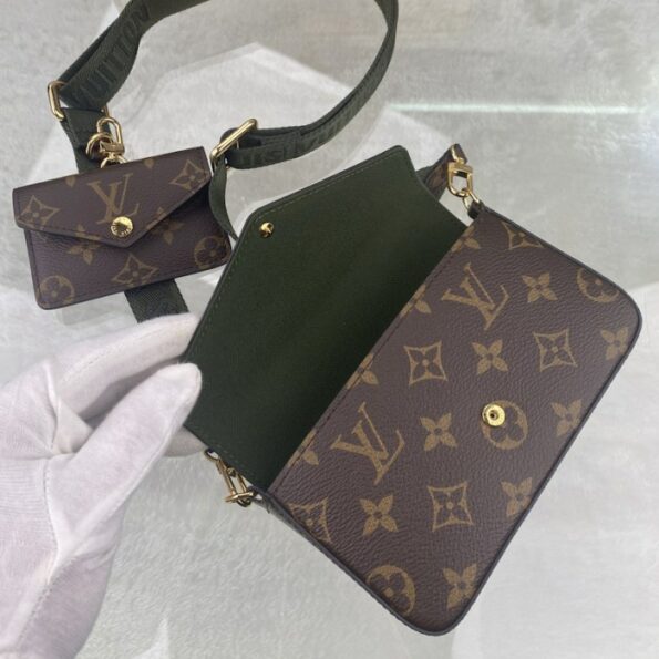 Louis-Vuitton-Felicie-Strap-Go-Monogram-Canvas-3.jpg