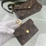 Louis-Vuitton-Felicie-Strap-Go-Monogram-Canvas.jpg